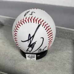 北海道 日本ハム ファイターズ 瀬川 隼郎 #46 直筆 サインボール