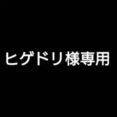 ヒゲドリ様 リクエスト 6点 まとめ商品