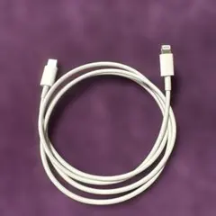 Apple純正　Lightning to USB-Cケーブル 1m ホワイト