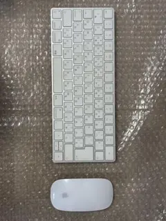 apple magic keyboard Mouse