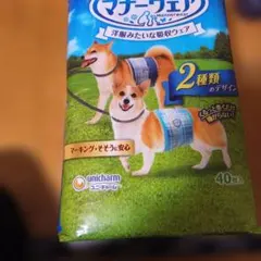 Item thumbnail for item daa268b7-411d-4b57-9800-7a12a3f4d3cc