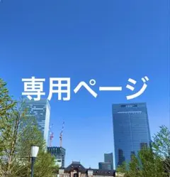 専用