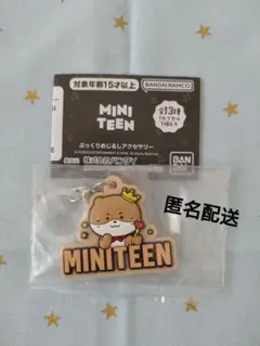 MINITEEN ミニティーン ぷっくりめじるしアクセサリー ディノ DINO