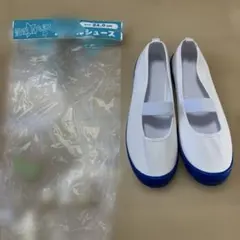 Item thumbnail for item 1cf07739-608e-4270-a18f-6e9bf7d6c204