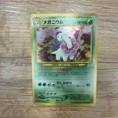 メガニウム_プレミアムファイル PROMO 第1世代 1996~1999