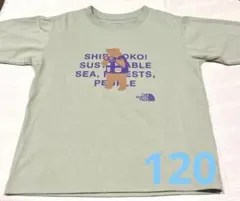 THE NORTH FACE ロンT 120