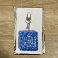 BMSG FES'25 ランダムウェーブキーリング LEO