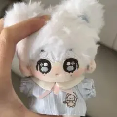 10cm seventeen ジョンハン JEONGHAN ぬいぐるみ本体⑭ - メルカリ