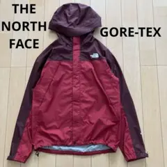 THE NORTH FACE RAINTEX GORE-TEX メンズ　赤　L