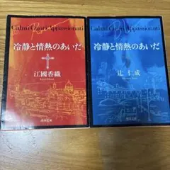 冷静と情熱のあいだ 江國香織　Rosso　 辻仁成　Blu　人気文庫本２冊セット