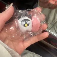 サンリオキャラクターズ　みんなでなっちゃお！歯　バツ丸　ばつ丸