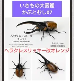 いきもの大図鑑 かぶとむし07 ヘラクレス・リッキー改(オレンジ)新品未開封