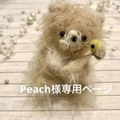 Peach様専用ページ