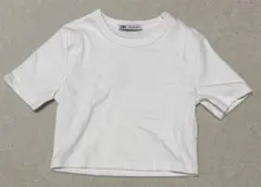 ZARA クロップドリブTシャツ ホワイト Sサイズのサムネイル