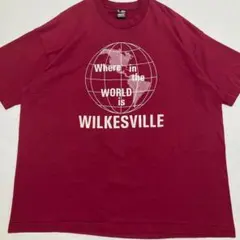 90s SCREEN STARS WILKESVILLE プリント Tシャツ