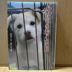 犬たちをおくる日