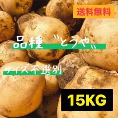 平日発送限定！長崎県産俵マゼランじゃがいも大 20㎏ - メルカリ