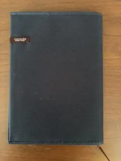 Item thumbnail for item 799821cc-fa04-4377-a0d3-575fc9589e14