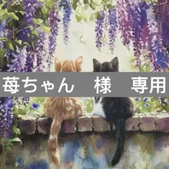 苺ちゃん様　専用