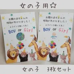 エコーはがき 41円 385枚 エコーはがき 41円 385枚 エコーはがき 41円 385枚 エコーはがき 41円