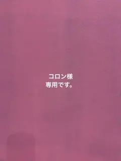 コロン様 リクエスト 3点 まとめ商品