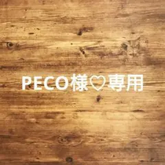 PECO様 リクエスト 2点 まとめ商品