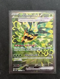 オーガポン みどりのめんex SAR SV6 変幻の仮面 125/101