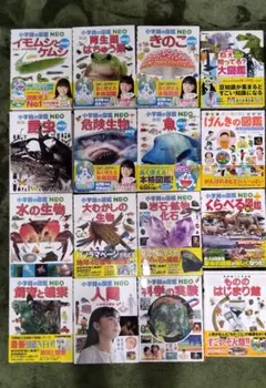 小学館の図鑑 NEO DVD　その他17冊セット