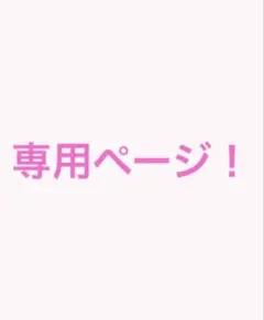専用ページ