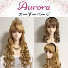 ⭐︎受付中⭐︎【エルサ・アナ】戴冠式 クイーンアナ Dハロ ウィッグ