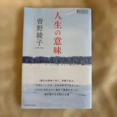 Item thumbnail for item b14c3902-9f6a-4bef-bce1-7af5e8a01f47