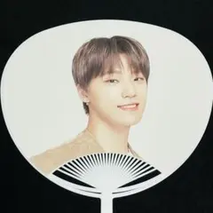 seventeen ode to you オデコン うちわ ディノ ピケット