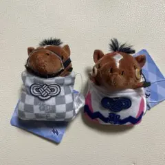 Item thumbnail for item e60acf24-417b-4c81-ba7e-c7a32d215b10