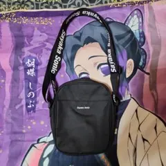 Item thumbnail for item d3e41c49-ef6b-4071-9ac7-9a419ff58f5a