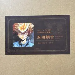 ジャンプフェア 家庭教師ヒットマンREBORN 沢田綱吉 名刺カードコレクション