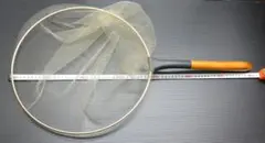 Item thumbnail for item 03c3cbc6-dad5-400c-99e5-c936876299ea