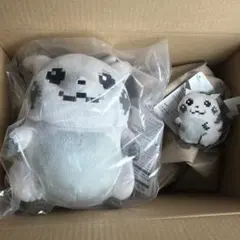 タグ付き新品 記念箱 はじまりのピカチュウ　マスコット　ぬいぐるみ　2点セット