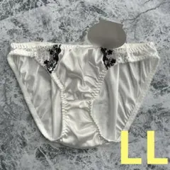 【匿名配送】レディースショーツLL パンティ 女性下着 モノトーン ポイント消化