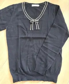 earth music&ecology ラメ使いＶネックニット