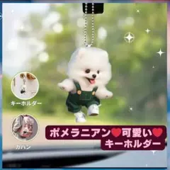 ペコ様 リクエスト 2点 まとめ商品