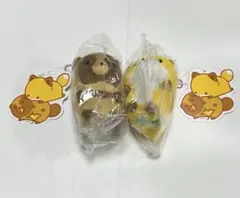 Item thumbnail for item 69a0f553-f8ec-4c21-b80d-e86f8cd85314