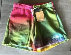 【限界お値下げ価格】THE NORTH FACE グラデーションショートパンツ