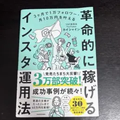革命的に稼げるインスタ運用法