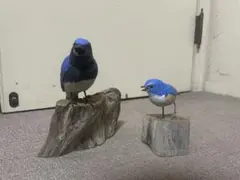 野鳥イソヒョドリ 彫刻 木彫りの野鳥 リアルバードカービン