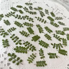 夜桜様 リクエスト 2点 まとめ商品