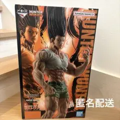 一番くじ HUNTER×HUNTER ラストワン賞 ゴン　成長