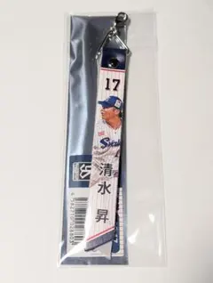 清水昇 マッチデー ボンフィン 東京ヤクルトスワローズ