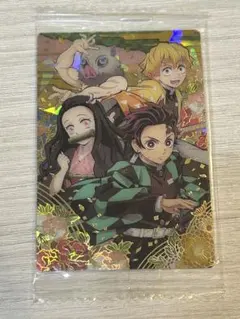 tcgcpk様 リクエスト 2点 まとめ商品