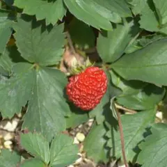 k27c433bdd6w77様 リクエスト 2点 まとめ商品