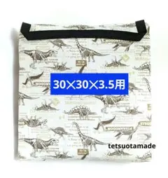 Item thumbnail for item 006c412c-a159-4c2e-b290-5a1b0e238d58